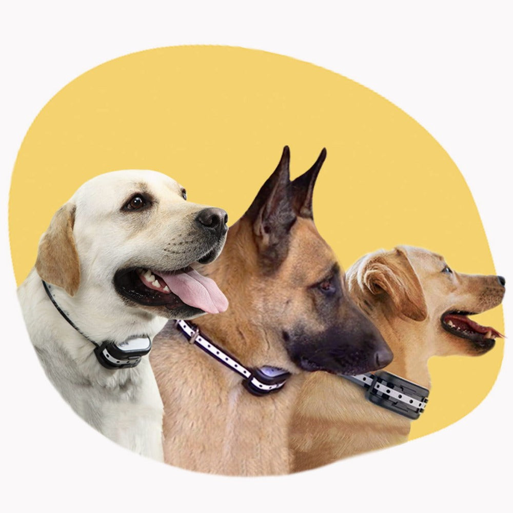 Ασύρματο σύστημα περίφραξης σκύλων με κολάρο εκπαίδευσης - απόλυτη ασφάλεια και ελεγχόμενη ελευθερία