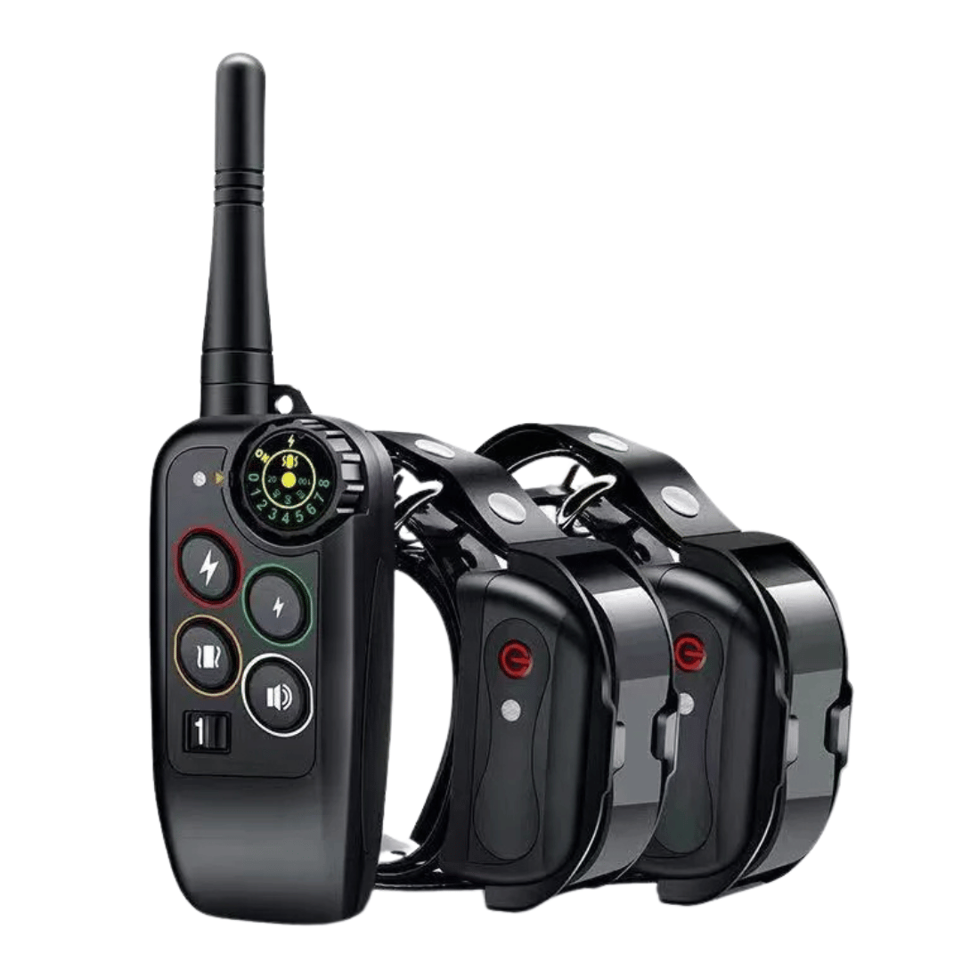 קולר אילוף מרחוק – דיוק וטווח אופטימלי