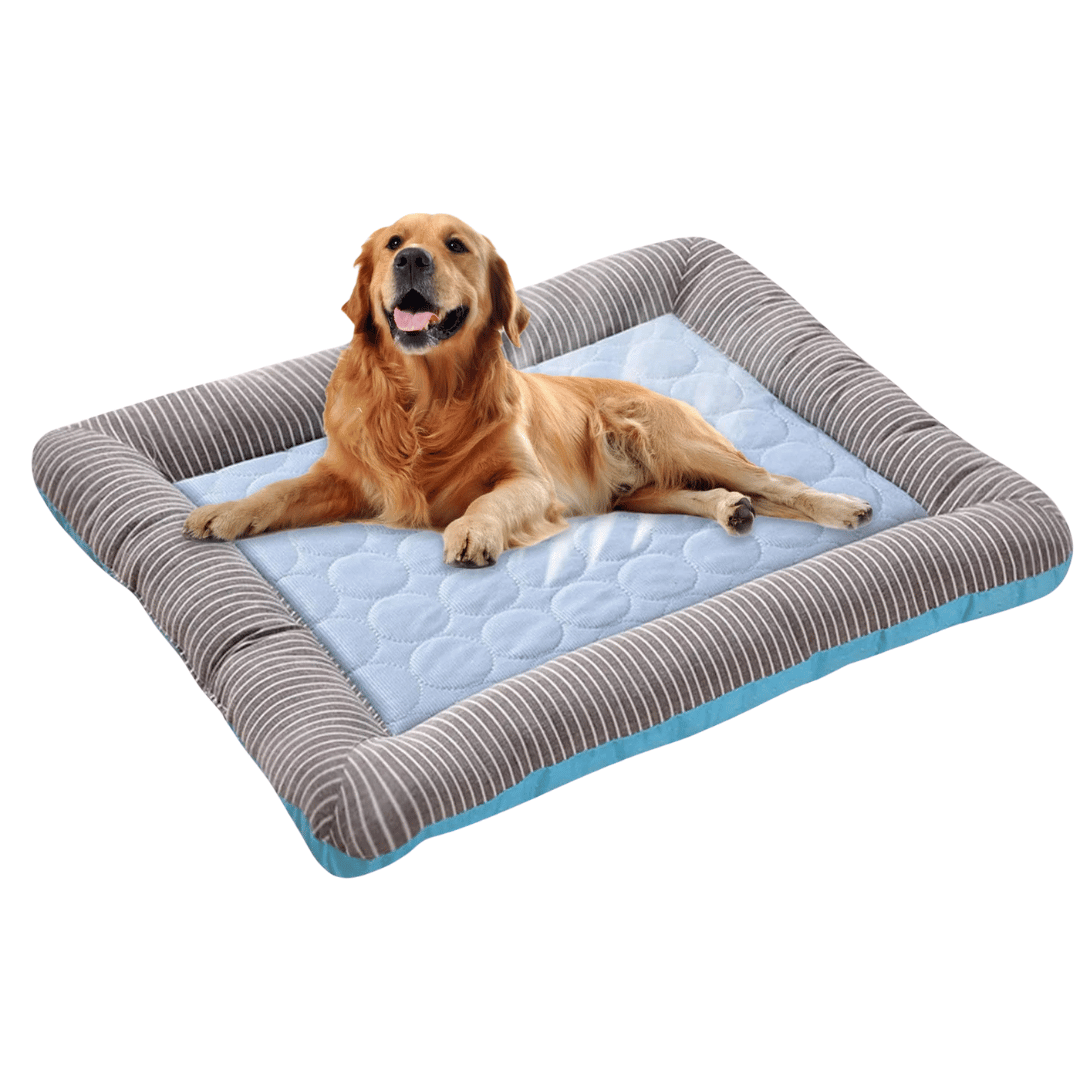 כרית מרעננת לכלב – רעננות ונוחות בקיץ