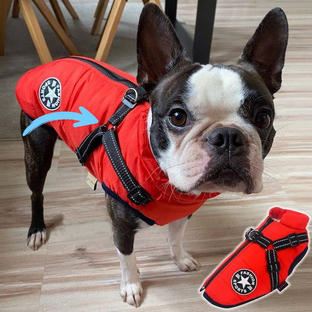 Casaco Impermeável para Cão - Proteção & Estilo