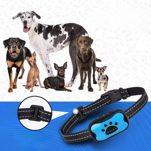 Collier Anti-Aboiement Pour Chien — Dressage Doux Et Efficace