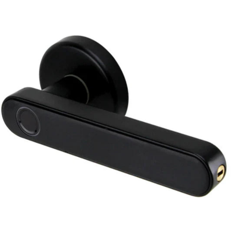 多機能バイオメトリックロック - 高度なセキュリティと迅速なアクセス