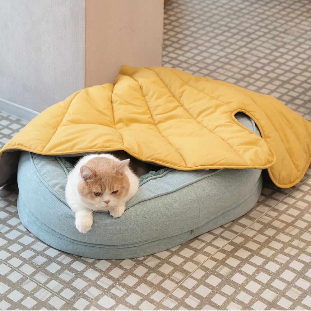 Letto a forma di ciambella per cani – Comfort e dolcezza