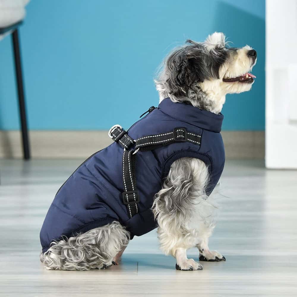 Casaco Impermeável para Cão - Proteção & Estilo