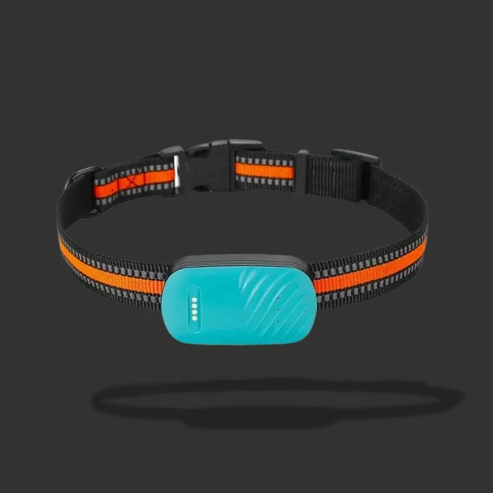 Collar Localizador GPS Para Gato – Localización Y Confort Diario 
