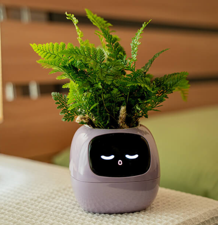 Emoji Flower Pot – Original and Fun Decoration 