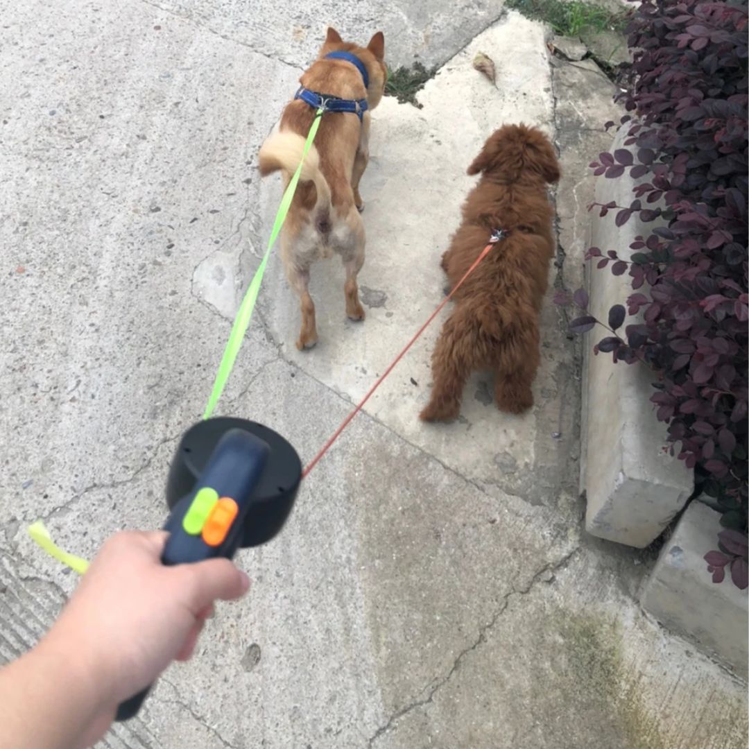 Correa Retráctil Para Perros – Con Luz LED Y Dispensador De Bolsas 