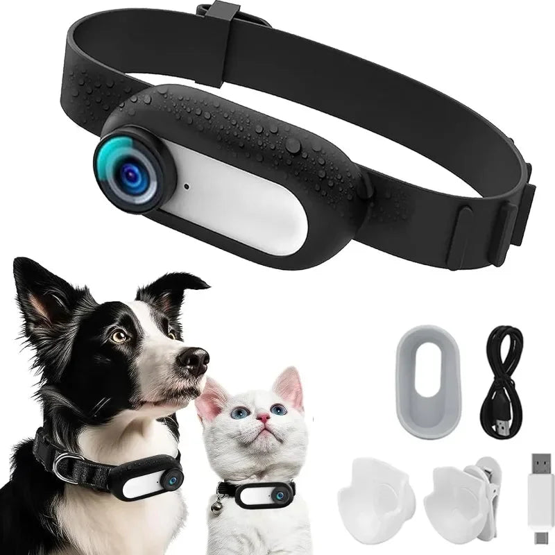Mini Caméra Collier Pour Chien Et Chat — Vision Immersive & HD