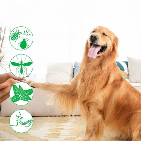 Spray Antiparasitario Natural de Larga Duración — Protección Eficaz a Diario 