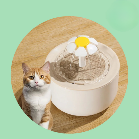 نافورة مياه للقطط — ترطيب مستمر ومياه دائمًا طازجة 