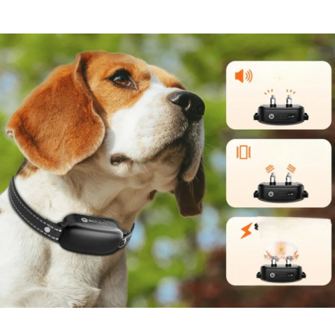 Collar de adiestramiento con control remoto – educación eficaz 