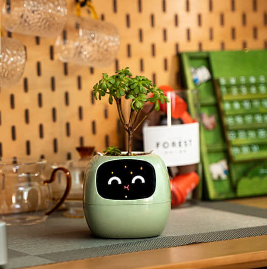 Emoji Flower Pot – Original and Fun Decoration 