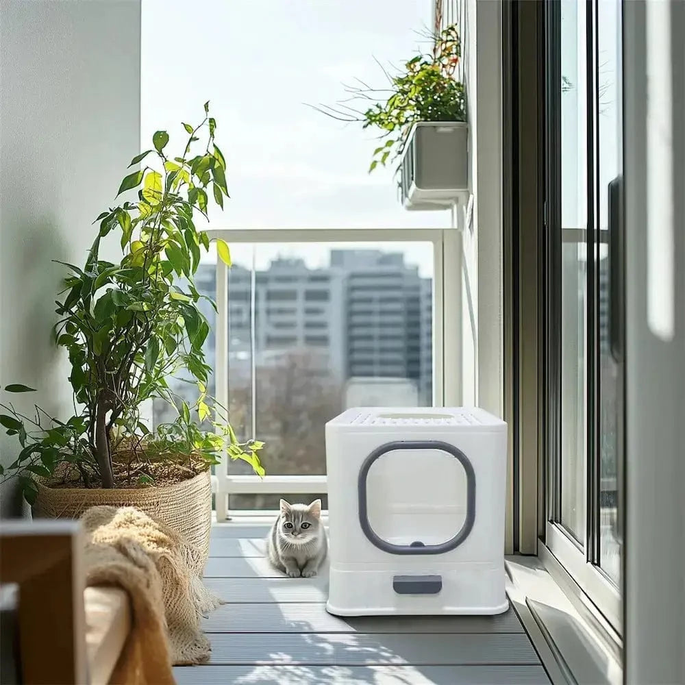 Areia para Gato Anti-Odor – Limpeza e Conforto Garantidos 