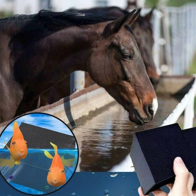 Wasserreinigerwürfel für Tiere – Tägliches klares und gesundes Wasser 